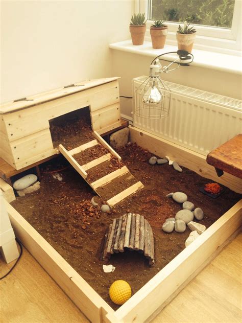 where to place tortoise in house